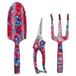 Набір посадковий з 3-х предметів (Raspberry) FLORA (5043634)