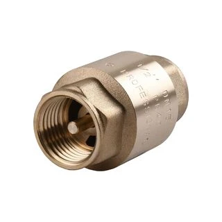 Клапан зворотного ходу води Q PROFESSIONAL  1&Prime; QP100