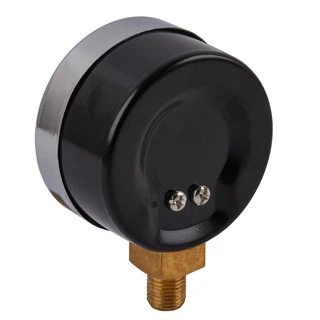 Термоманометр радіальний   SOLOMON  V1244 S М10х1