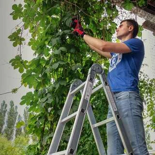 Драбина багатоцільова алюмінієва 4&times;3 сходинок 3.56м FLORA (5031314)